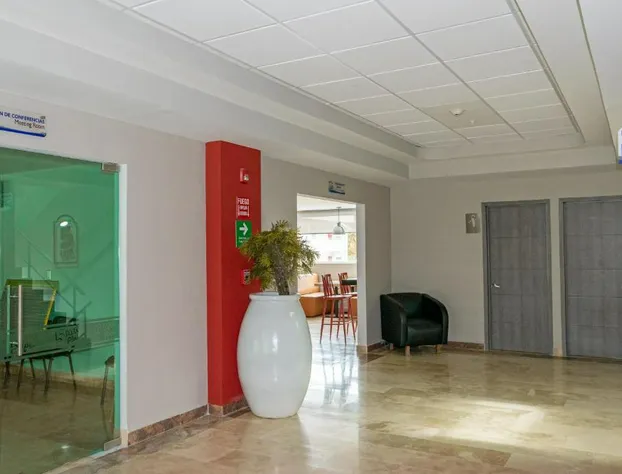 Hotel 5 Inn Plus hotel detail image 4