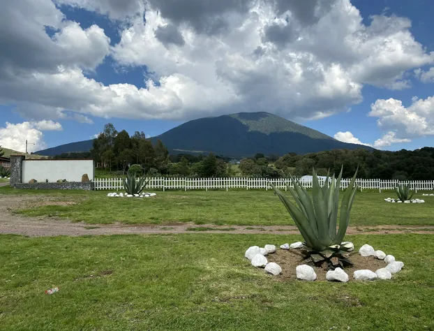 Las Cabañas hotel detail image 4