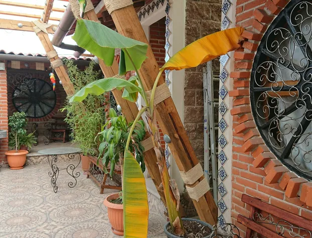 Hostal El Refugio hotel detail image 2