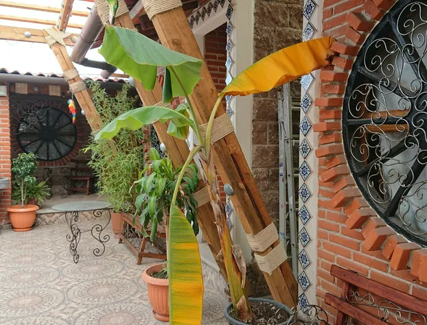 Hostal El Refugio hotel detail image 2