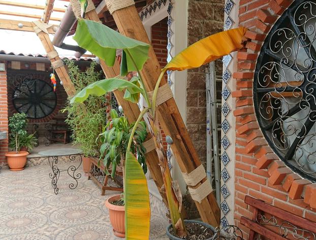 Hostal El Refugio hotel detail image 1