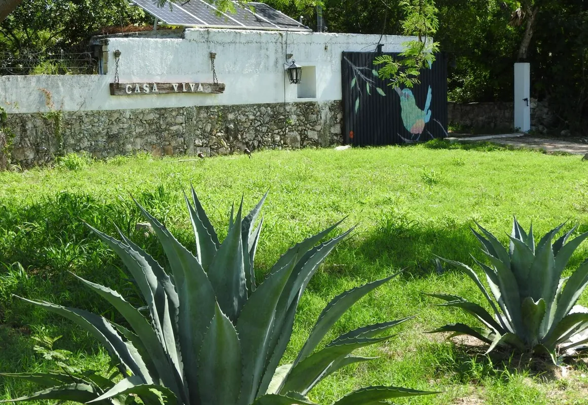 Casa Viva Mérida hotel hero