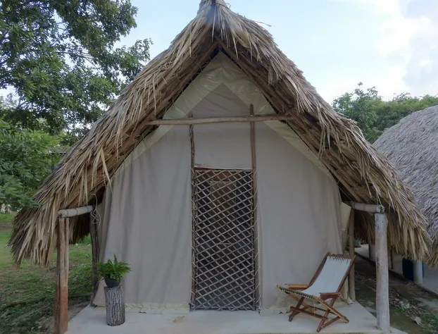 Casa Viva Mérida hotel detail image 4