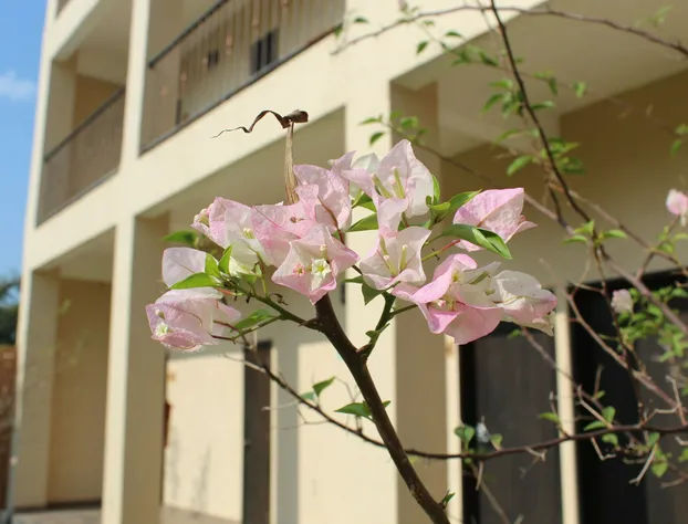 Hotel Real de Guadalupe hotel detail image 3