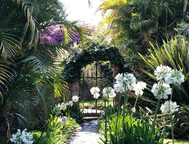 Casa Magdalena hotel detail image 2