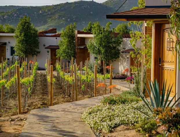 Ojo Azul Resort hotel detail image 2