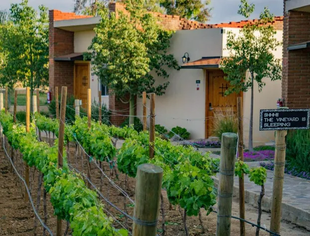 Ojo Azul Resort hotel detail image 3