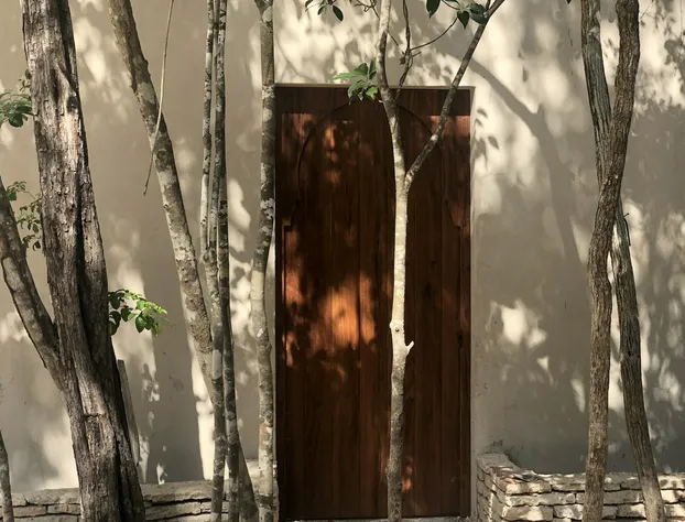 Ambre & Epices Jungle Hotel & Spa hotel detail image 3