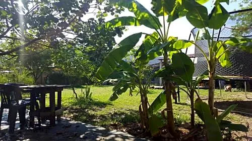 Los 4 Pulques Hotel hotel detail image 3