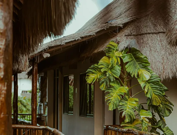 Casa Teka hotel detail image 1