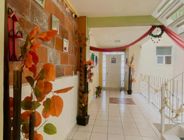 Hotel Carnaval hotel detail image 4