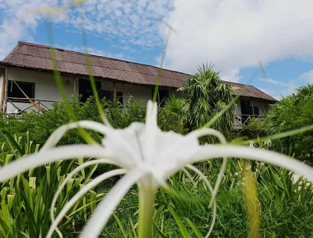 Pancho villa Tulum hotel detail image 2