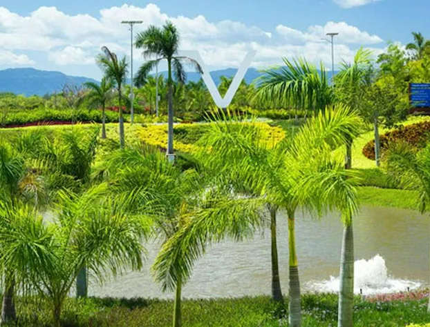 NV The Grand Mayan Suites at Vidanta in Nuevo Vallarta hotel detail image 1