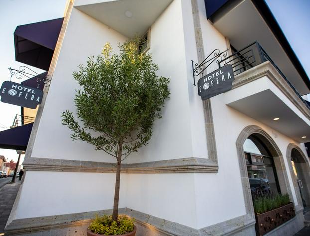 Hotel Esfera Tulancingo hotel detail image 2