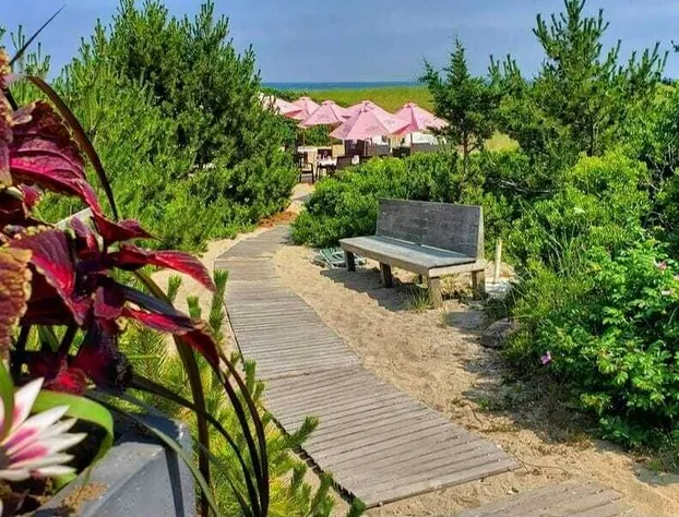 Summer House Hotel hotel detail image 2