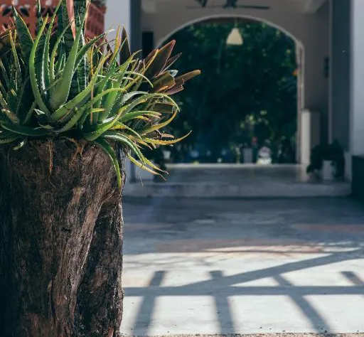 Teetotum hotel hotel detail image 1