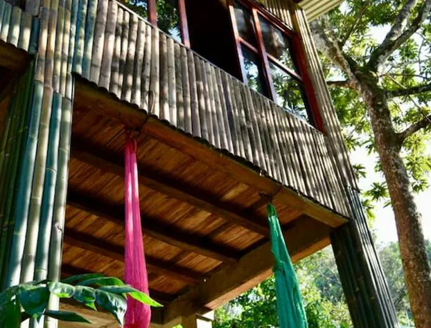 Centro Ecoturístico Las Margaritas hotel detail image 4
