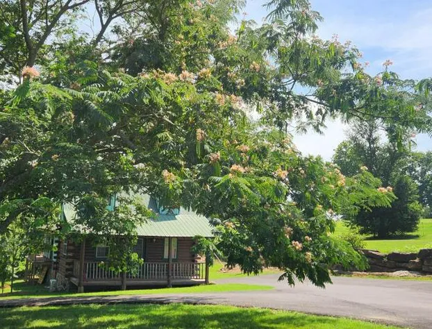 Fairway Inn hotel detail image 3