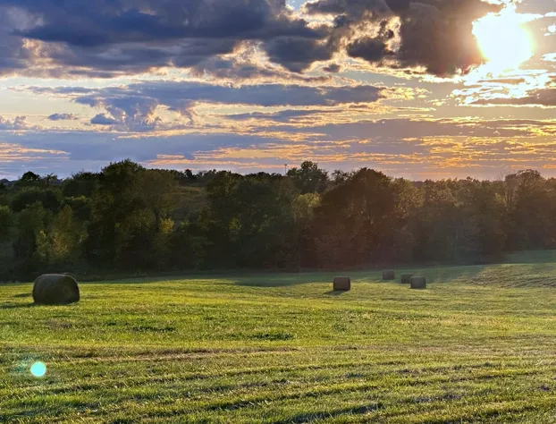 Wildflower Ranch Inn hotel detail image 2