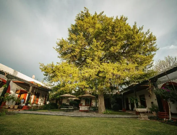 Hotel Hostal El Farol hotel detail image 4