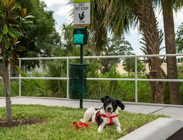 Home2 Suites by Hilton Tampa Westshore Airport, FL hotel detail image 2
