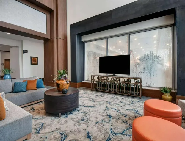 Hilton Garden Inn Houston Medical Center, TX hotel detail image 4