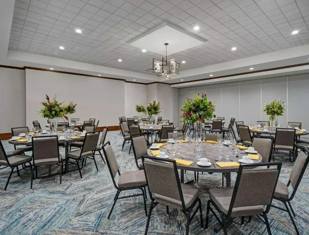 Hilton Garden Inn Houston Medical Center, TX hotel detail image 2