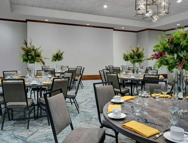 Hilton Garden Inn Houston Medical Center, TX hotel detail image 3