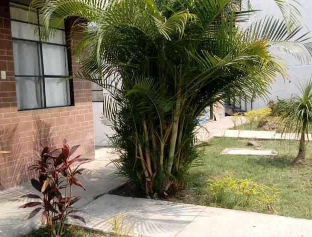 Hotel Bungalows del Río hotel detail image 3