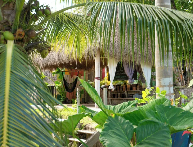 Hotel Makaabá Eco-Boutique hotel detail image 3