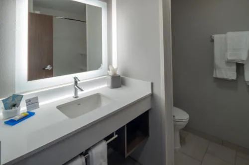 Holiday Inn Express and Suites Little Rock Downtown by IHG hotel detail image 2