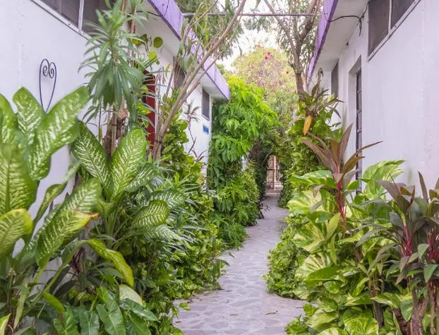 Hotel Aventura hotel detail image 2