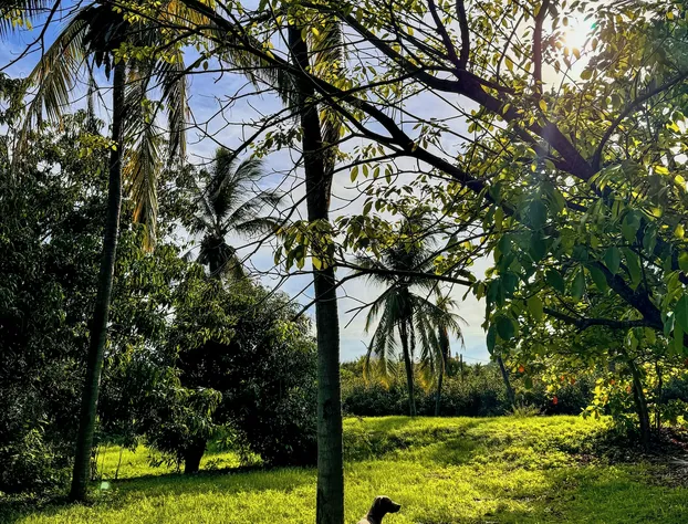 Los Angeles hotel detail image 3