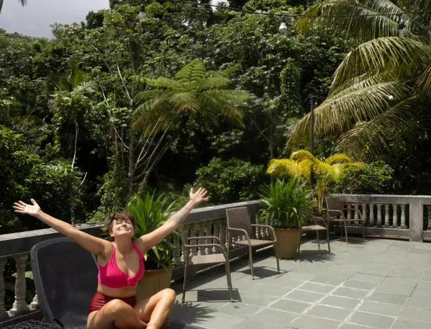 Rainforest Inn hotel detail image 4