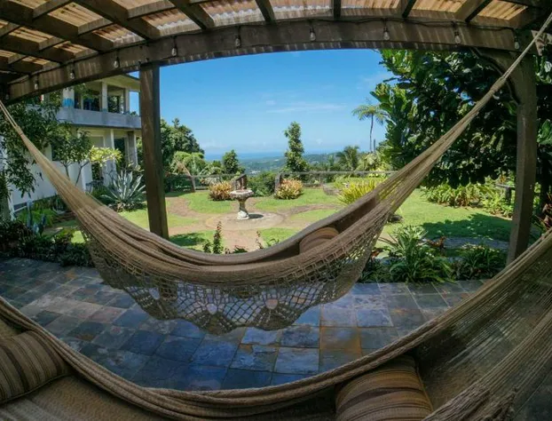 Rainforest Inn hotel detail image 1