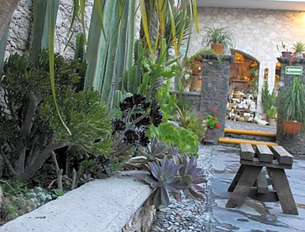 Hotel Casa Caro hotel detail image 2