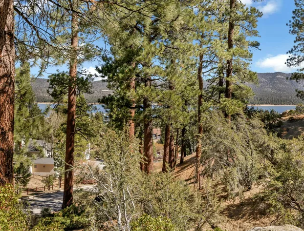 Alpine Lodge #1085 hotel detail image 3