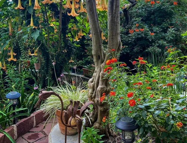 Su Casa hotel detail image 2