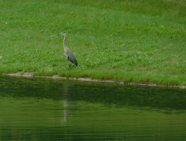 Evonne's Sharing House hotel detail image 1