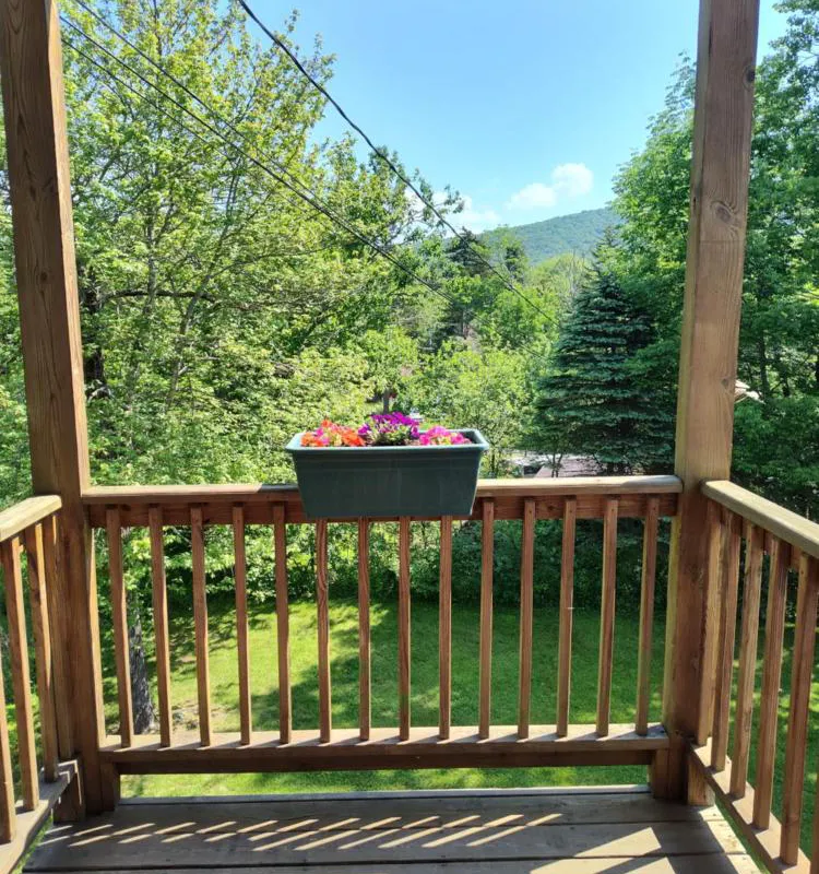 Doveberry Inn hotel hero