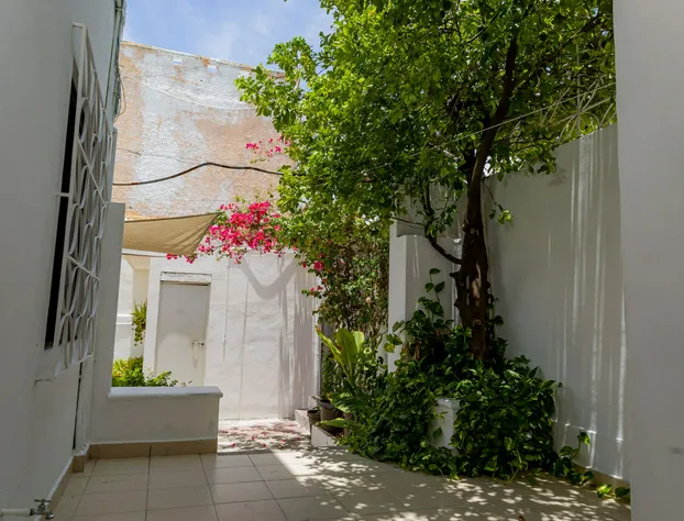 Hotel Las Palmas Cancun Centro hotel detail image 1