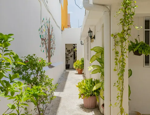 Hotel Las Palmas Cancun Centro hotel detail image 2