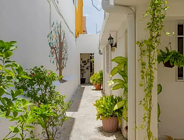 Hotel Las Palmas Cancun Centro hotel detail image 2