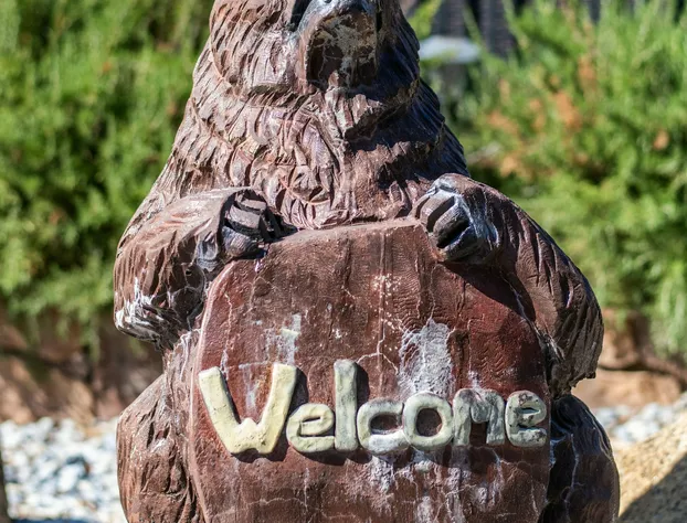 Buck Meadows Lodge hotel detail image 3