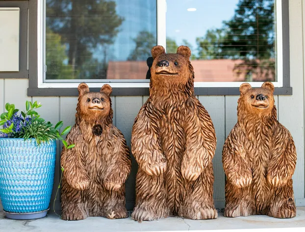 Buck Meadows Lodge hotel detail image 4