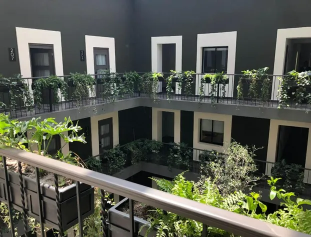 Hotel Isabel hotel detail image 3