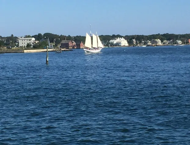 The Hydrangea Inn hotel detail image 1