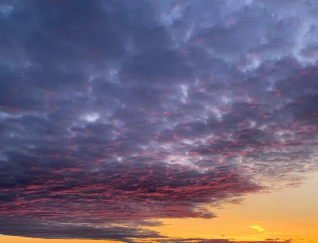 Quality Inn & Suites hotel detail image 2