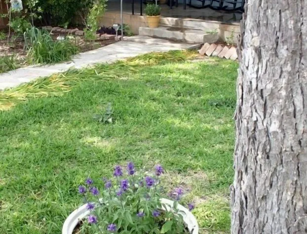 The B&B's of Monarc Ranch hotel detail image 2