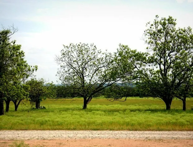 The B&B's of Monarc Ranch hotel detail image 4
